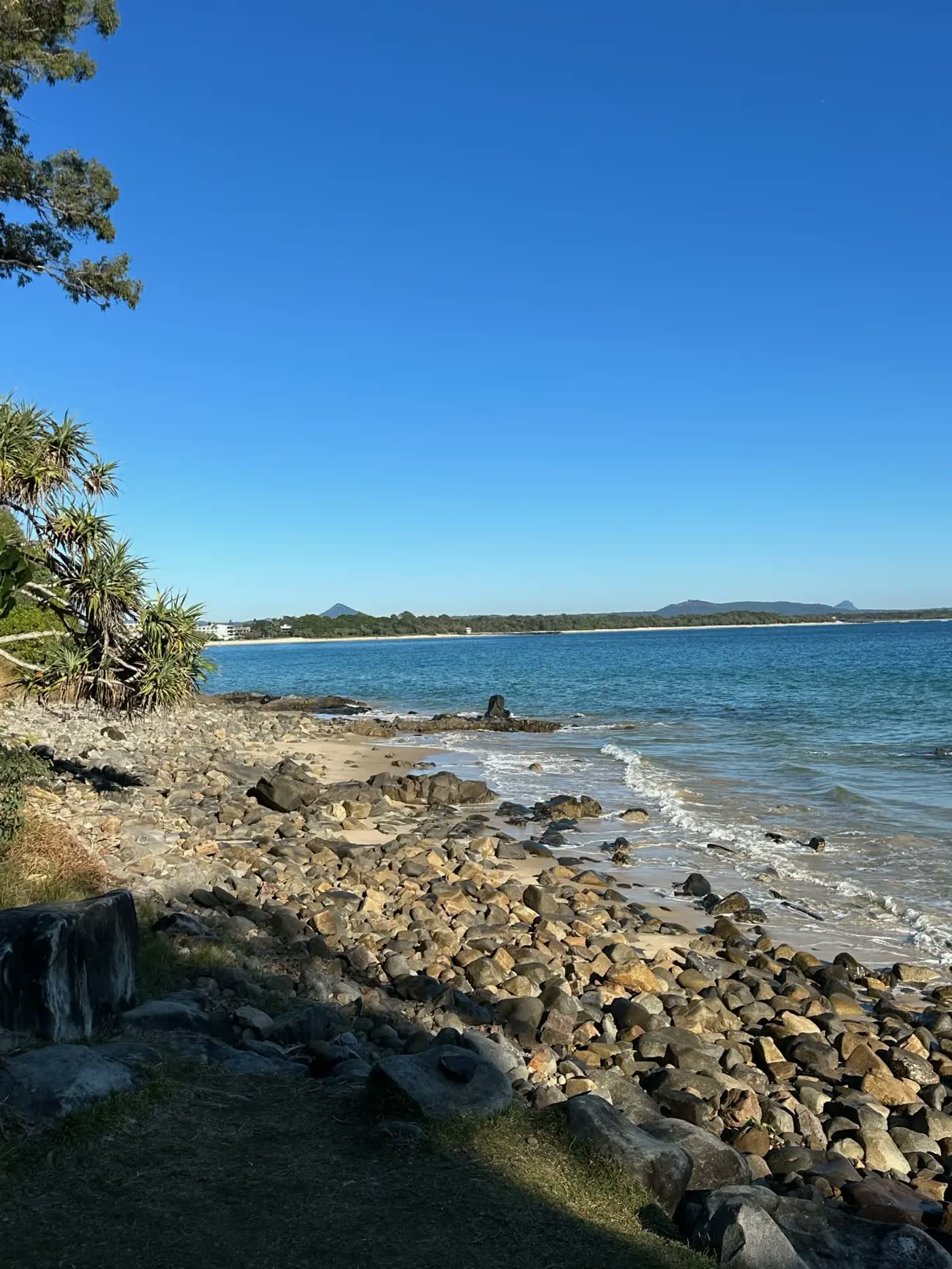 Is Now the Right Time to Buy in Noosa? 2026 Market Analysis