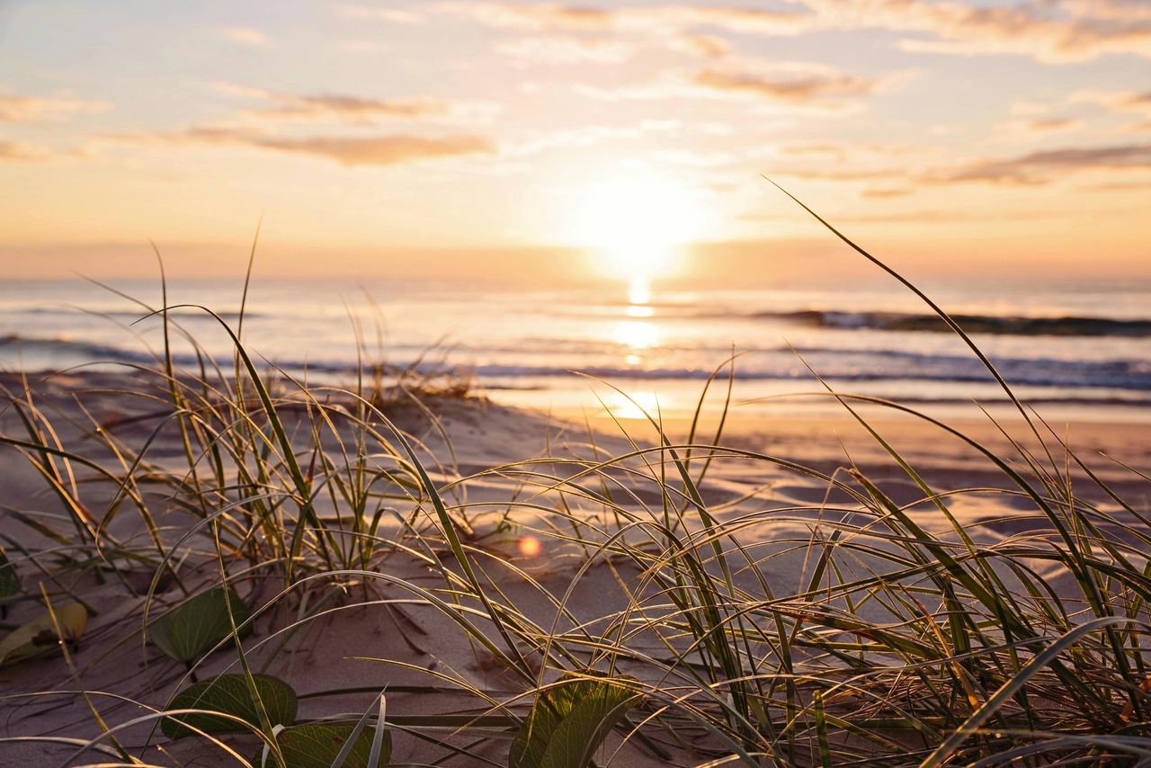 Peregian Beach Property Market: A Buyers Agent's Guide