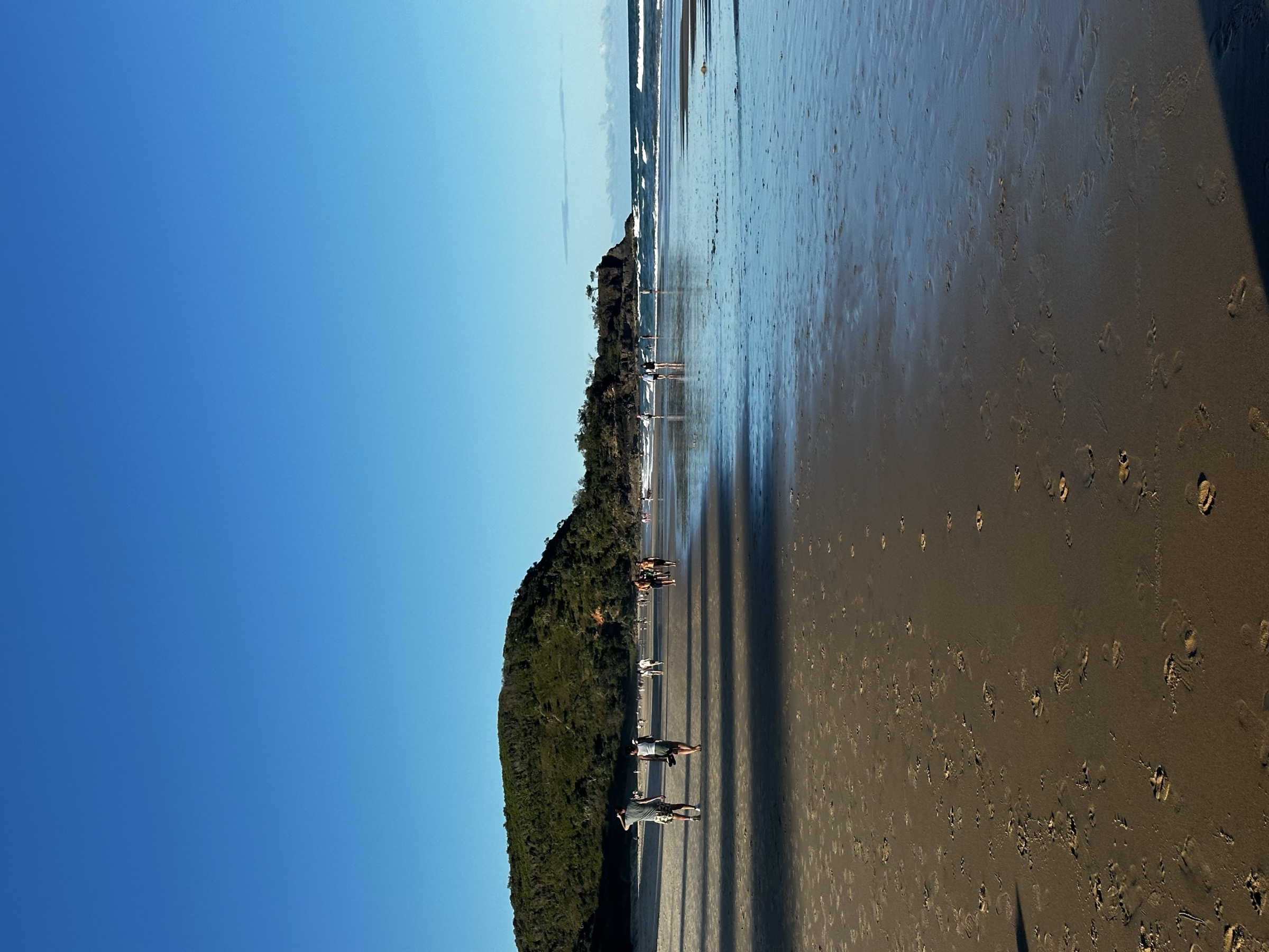 Sunshine Beach Property Acquisition: A 2026 Forensic Playbook
