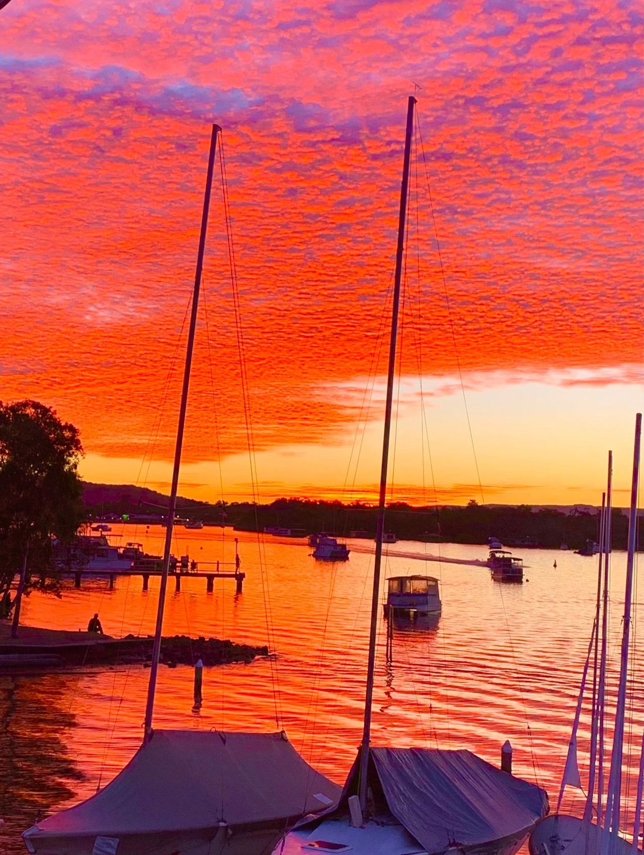 brightly coloured sunset on Noosa River with sailboats